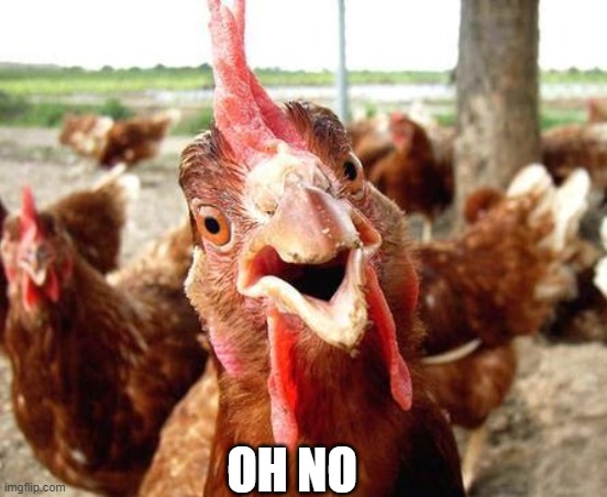 Chicken | OH NO | image tagged in chicken | made w/ Imgflip meme maker