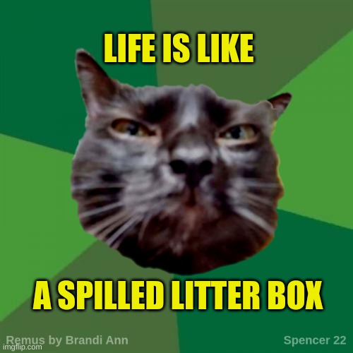 Remus | LIFE IS LIKE; A SPILLED LITTER BOX | image tagged in remus,life,litter box,philosoraptor,philosophy,thug life | made w/ Imgflip meme maker