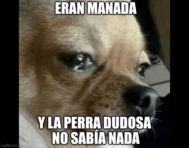 624n1t.jpg