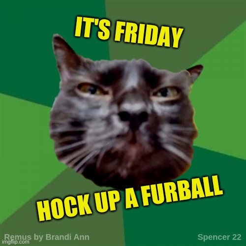 Kitty Diem! | IT'S FRIDAY; HOCK UP A FURBALL | image tagged in remus,cat,furry,balls,friday,hello kitty | made w/ Imgflip meme maker