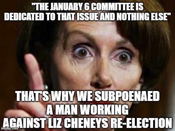 The Un-Democratic Committee | "THE JANUARY 6 COMMITTEE IS DEDICATED TO THAT ISSUE AND NOTHING ELSE"; THAT'S WHY WE SUBPOENAED A MAN WORKING AGAINST LIZ CHENEYS RE-ELECTION | image tagged in nancy pelosi no spending problem | made w/ Imgflip meme maker