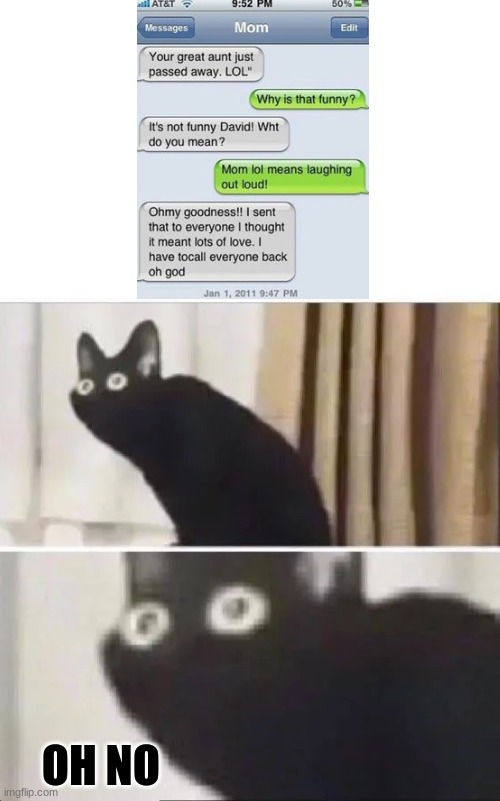 OH NO | OH NO | image tagged in oh no black cat,memes,text messages | made w/ Imgflip meme maker