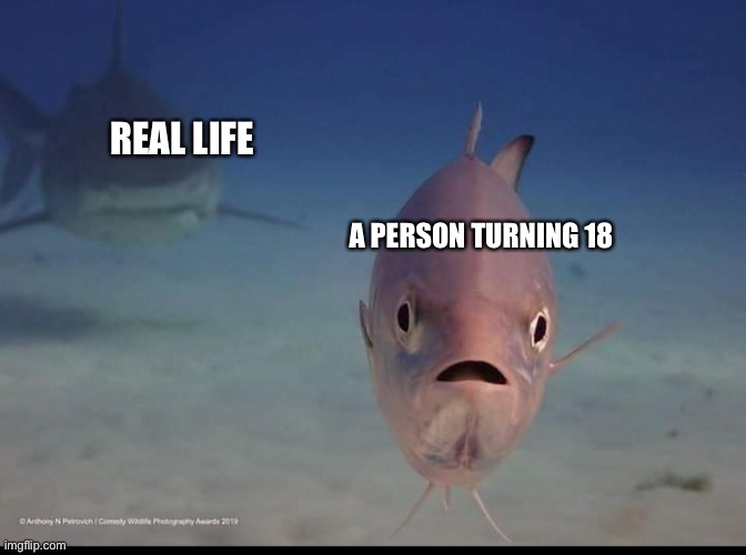 Growing up | REAL LIFE; A PERSON TURNING 18 | image tagged in suddenly mortal fish | made w/ Imgflip meme maker