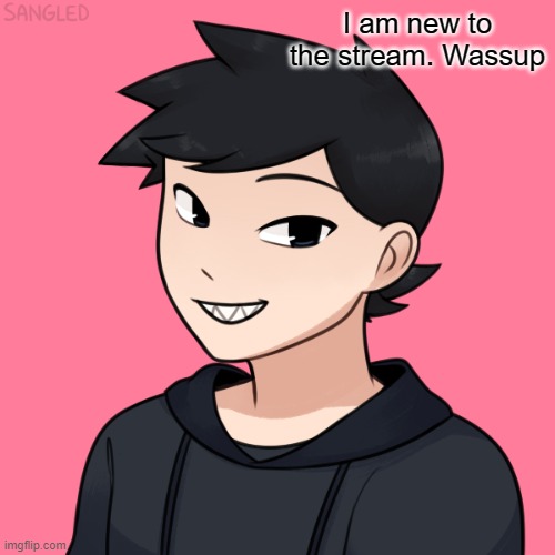Hello | I am new to the stream. Wassup | image tagged in stuff | made w/ Imgflip meme maker