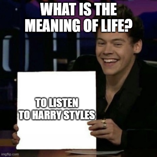 Harry Styles | WHAT IS THE MEANING OF LIFE? TO LISTEN TO HARRY STYLES | image tagged in harry styles,life,the meaning of life | made w/ Imgflip meme maker