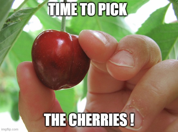 TIME TO PICK THE CHERRIES ! | made w/ Imgflip meme maker