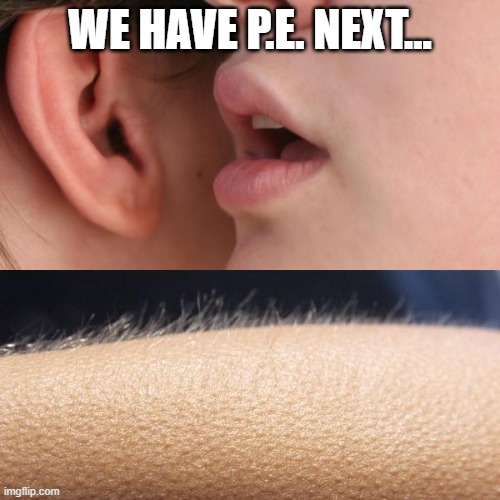 Whisper and Goosebumps | WE HAVE P.E. NEXT... | image tagged in whisper and goosebumps | made w/ Imgflip meme maker