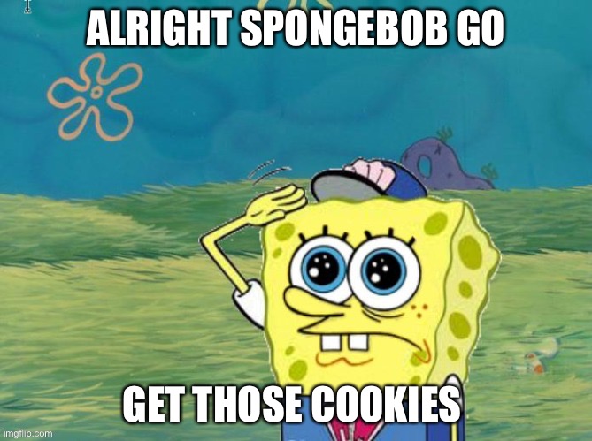 Go get those cookies | ALRIGHT SPONGEBOB GO; GET THOSE COOKIES | image tagged in i will captain | made w/ Imgflip meme maker