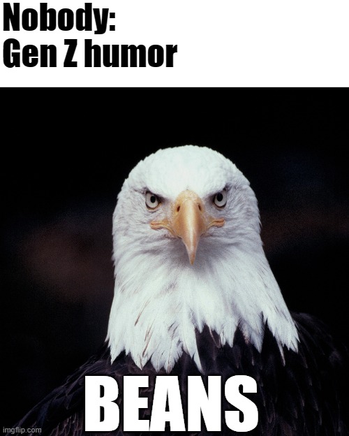 Yyggffvhj | Nobody:
Gen Z humor; BEANS | image tagged in gen z humor | made w/ Imgflip meme maker