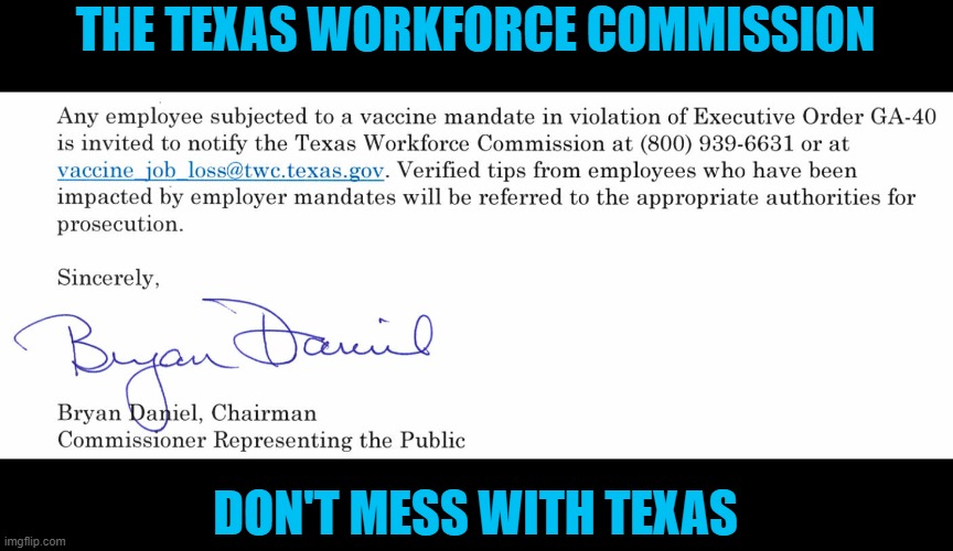 Texans Have Options | THE TEXAS WORKFORCE COMMISSION; DON'T MESS WITH TEXAS | image tagged in don't mess with texas | made w/ Imgflip meme maker