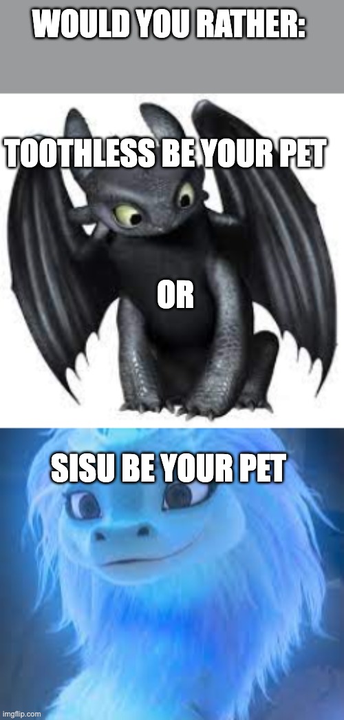Would you rather dragoon edition! | WOULD YOU RATHER:; TOOTHLESS BE YOUR PET; OR; SISU BE YOUR PET | image tagged in dragon,toothless,sisu | made w/ Imgflip meme maker