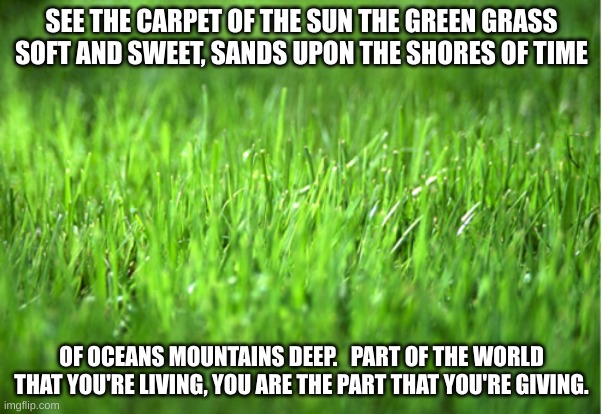 carpet of the sun | SEE THE CARPET OF THE SUN THE GREEN GRASS SOFT AND SWEET, SANDS UPON THE SHORES OF TIME; OF OCEANS MOUNTAINS DEEP.   PART OF THE WORLD THAT YOU'RE LIVING, YOU ARE THE PART THAT YOU'RE GIVING. | image tagged in grass is greener | made w/ Imgflip meme maker