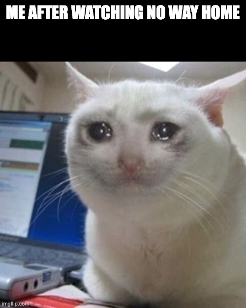 Idk if this is a spoiler | ME AFTER WATCHING NO WAY HOME | image tagged in crying cat | made w/ Imgflip meme maker
