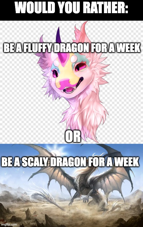 None of the images are mine | WOULD YOU RATHER:; BE A FLUFFY DRAGON FOR A WEEK; OR; BE A SCALY DRAGON FOR A WEEK | image tagged in fluffy,dragons,would you rather | made w/ Imgflip meme maker