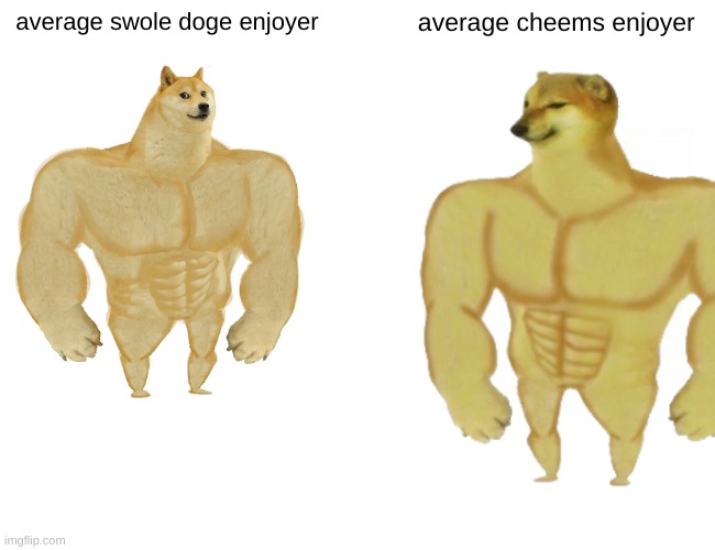 we are all chads | average swole doge enjoyer; average cheems enjoyer | image tagged in buff doge vs cheems | made w/ Imgflip meme maker