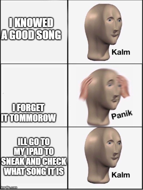 the song is hailing taquitos | I KNOWED A GOOD SONG; I FORGET IT TOMMOROW; ILL GO TO MY IPAD TO SNEAK AND CHECK WHAT SONG IT IS | image tagged in kalm panik kalm | made w/ Imgflip meme maker
