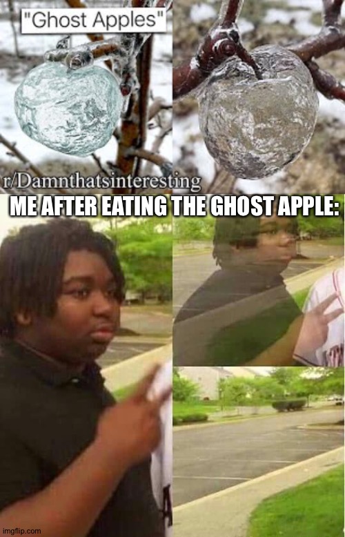 It does look real but it looks like it's made of ice | ME AFTER EATING THE GHOST APPLE: | image tagged in disappearing | made w/ Imgflip meme maker