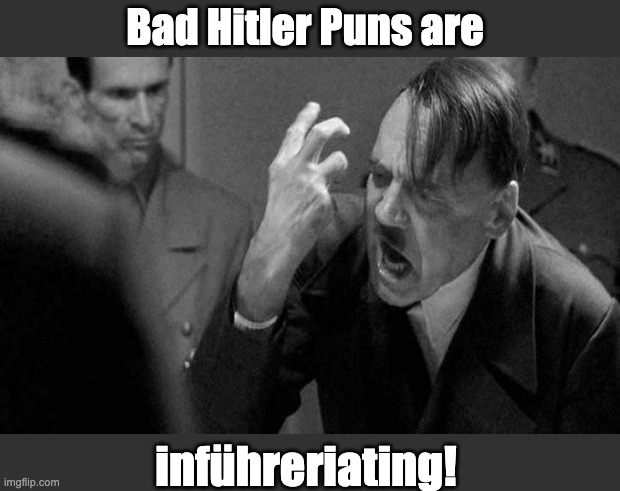 Hitler | Bad Hitler Puns are; inführeriating! | image tagged in hitler | made w/ Imgflip meme maker