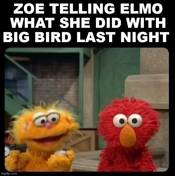 ZOE TELLING ELMO WHAT SHE DID WITH BIG BIRD LAST NIGHT | image tagged in dark humor | made w/ Imgflip meme maker