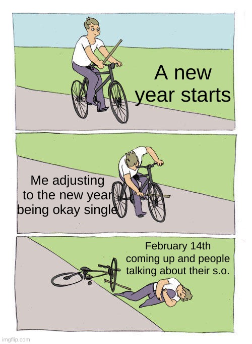 Dang | A new year starts; Me adjusting to the new year being okay single; February 14th coming up and people talking about their s.o. | image tagged in memes,bike fall,singles | made w/ Imgflip meme maker