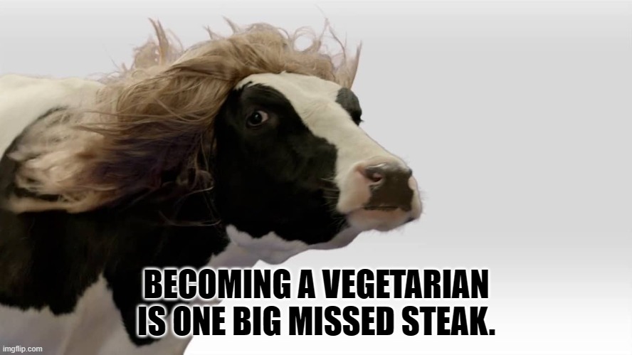 Daily Bad Dad Joke January 21 2022 | BECOMING A VEGETARIAN IS ONE BIG MISSED STEAK. | image tagged in fabio cow | made w/ Imgflip meme maker