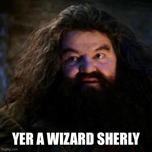 You're a wizard harry | YER A WIZARD SHERLY | image tagged in you're a wizard harry | made w/ Imgflip meme maker