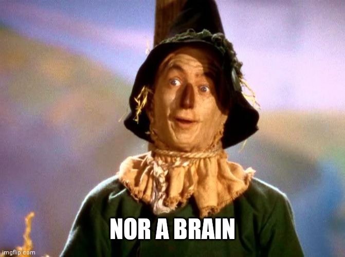 Wizard of Oz Scarecrow | NOR A BRAIN | image tagged in wizard of oz scarecrow | made w/ Imgflip meme maker