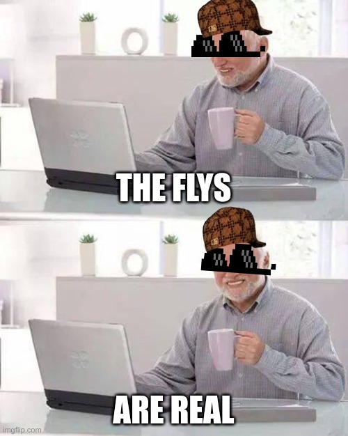 you can make flys in imgflip omg :0 | THE FLYS; ARE REAL | image tagged in memes,hide the pain harold | made w/ Imgflip meme maker