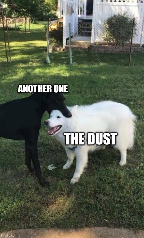 bruh | ANOTHER ONE; THE DUST | image tagged in dog bite | made w/ Imgflip meme maker