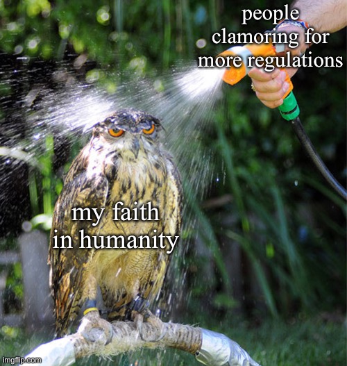 There oughtta be a law! | people clamoring for more regulations; my faith in humanity | image tagged in owl wet shower | made w/ Imgflip meme maker