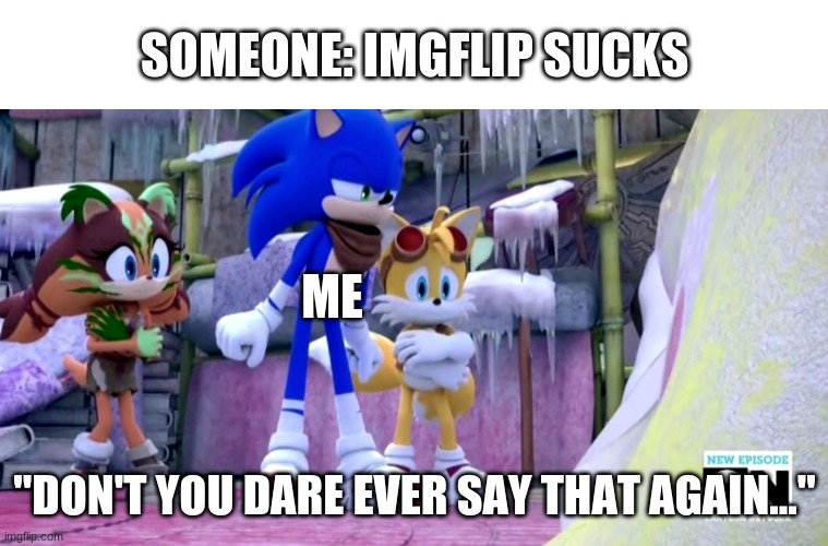 Just made this template... :) | SOMEONE: IMGFLIP SUCKS; ME; "DON'T YOU DARE EVER SAY THAT AGAIN..." | image tagged in sonic don't you ever say that again,memes,imgflip | made w/ Imgflip meme maker