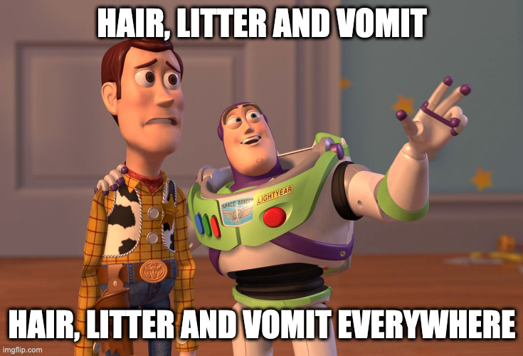 X, X Everywhere Meme | HAIR, LITTER AND VOMIT; HAIR, LITTER AND VOMIT EVERYWHERE | image tagged in memes,x x everywhere | made w/ Imgflip meme maker