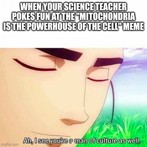 Ah,I see you are a man of culture as well | WHEN YOUR SCIENCE TEACHER POKES FUN AT THE "MITOCHONDRIA IS THE POWERHOUSE OF THE CELL" MEME | image tagged in ah i see you are a man of culture as well | made w/ Imgflip meme maker