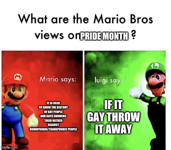 I'm Basically Luigi Here | PRIDE MONTH; IT IS USED TO SHOW THE HISTORY OF GAY PEOPLE AND GAYS SHOWING THEIR HATRED AGAINST HOMOPHOBIC/TRANSPHOBIC PEOPLE; IF IT GAY THROW IT AWAY | image tagged in mario bros views | made w/ Imgflip meme maker