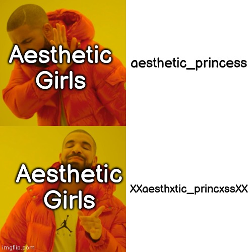 Drake Hotline Bling |  aesthetic_princess; Aesthetic Girls; XXaesthxtic_princxssXX; Aesthetic Girls | image tagged in memes,drake hotline bling | made w/ Imgflip meme maker