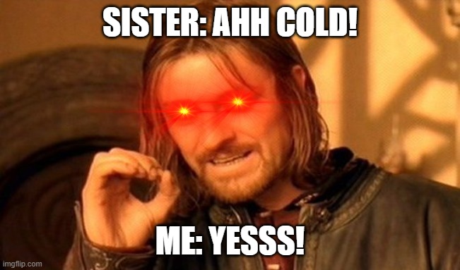 One Does Not Simply Meme | SISTER: AHH COLD! ME: YESSS! | image tagged in memes,one does not simply | made w/ Imgflip meme maker