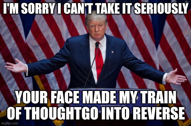 Donald Trump | I'M SORRY I CAN'T TAKE IT SERIOUSLY YOUR FACE MADE MY TRAIN OF THOUGHTGO INTO REVERSE | image tagged in donald trump | made w/ Imgflip meme maker