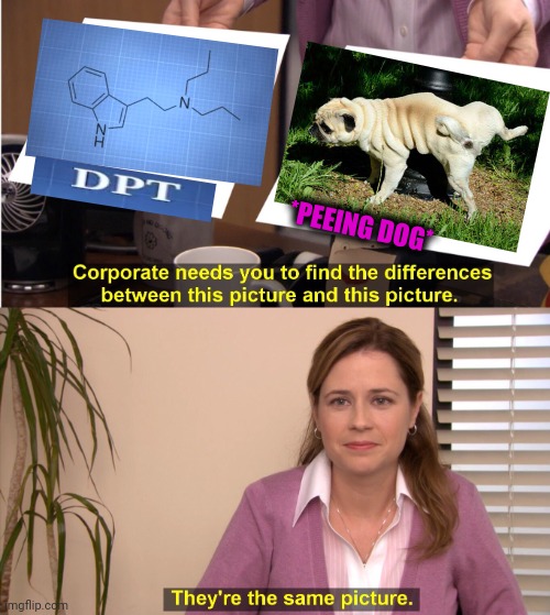-Funny chemicals. | *PEEING DOG* | image tagged in memes,they're the same picture,organic chemistry,yes this is dog,peeing,totally looks like | made w/ Imgflip meme maker