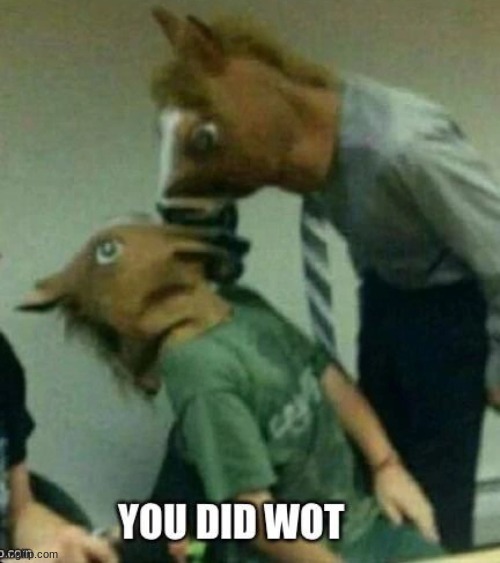 you did wot | image tagged in you did wot | made w/ Imgflip meme maker