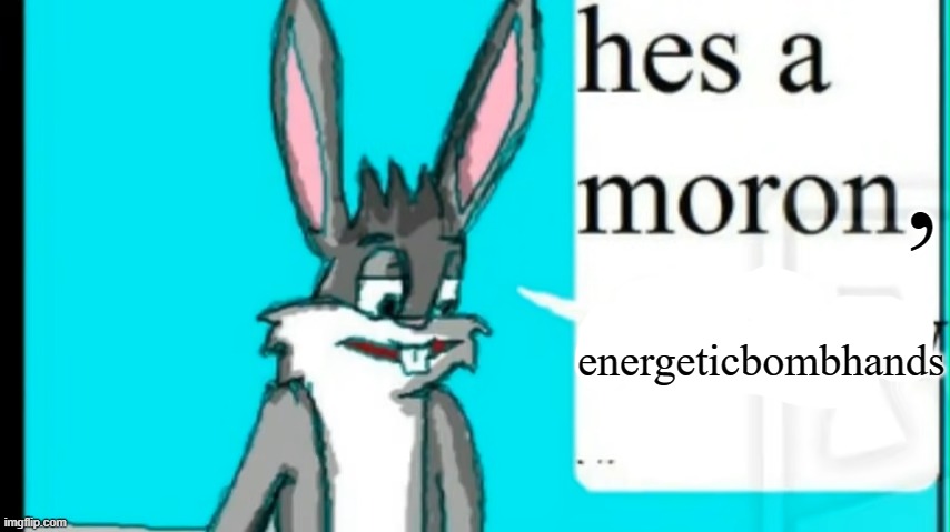 He's a moron, Shadow. | , energeticbombhands | image tagged in he's a moron shadow | made w/ Imgflip meme maker