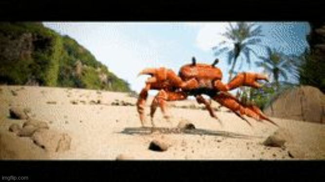 Crab rave gif | image tagged in crab rave gif | made w/ Imgflip meme maker