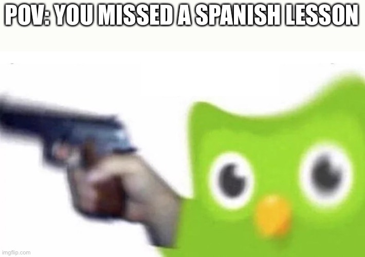 He’s coming | POV: YOU MISSED A SPANISH LESSON | image tagged in duolingo gun | made w/ Imgflip meme maker