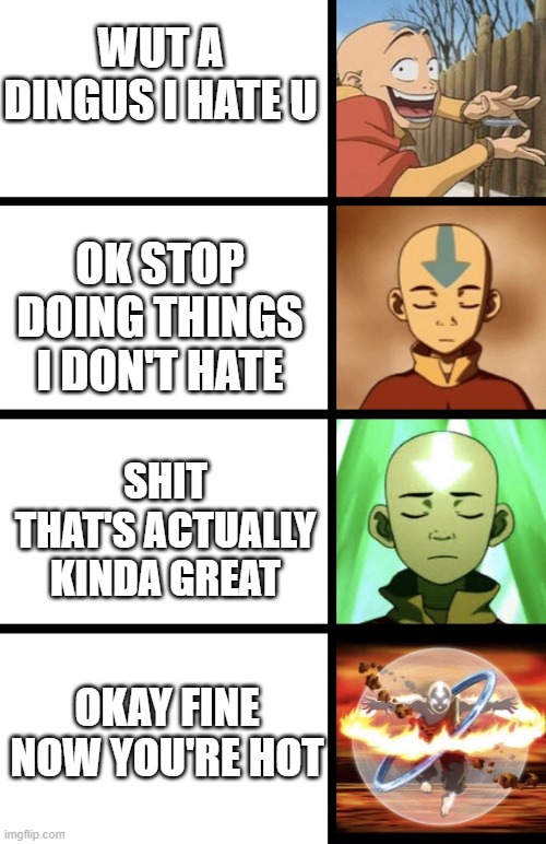 Expanding Aang | WUT A DINGUS I HATE U; OK STOP DOING THINGS I DON'T HATE; SHIT THAT'S ACTUALLY KINDA GREAT; OKAY FINE NOW YOU'RE HOT | image tagged in expanding aang | made w/ Imgflip meme maker