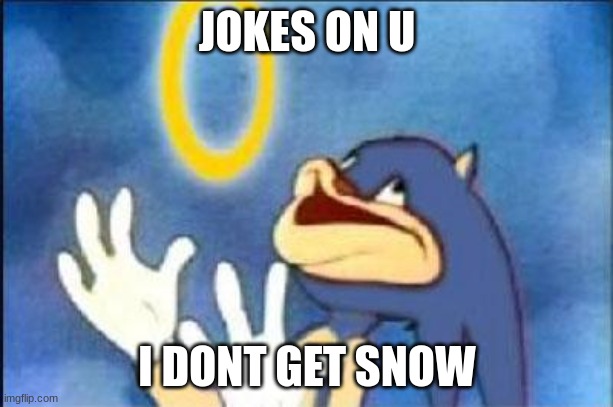 Sonic derp | JOKES ON U I DONT GET SNOW | image tagged in sonic derp | made w/ Imgflip meme maker
