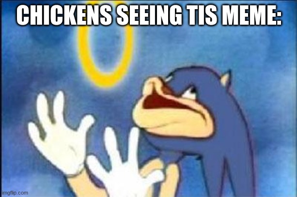 Sonic derp | CHICKENS SEEING TIS MEME: | image tagged in sonic derp | made w/ Imgflip meme maker