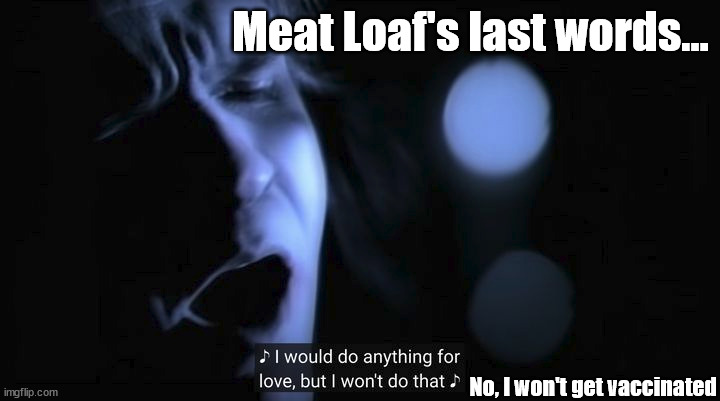 Meat Loaf Won't Do That | Meat Loaf's last words... No, I won't get vaccinated | image tagged in covid vaccine | made w/ Imgflip meme maker