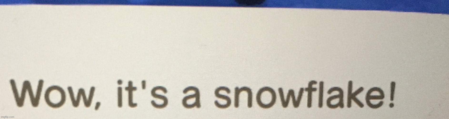 Wow, it’s a snowflake! | image tagged in wow it s a snowflake | made w/ Imgflip meme maker