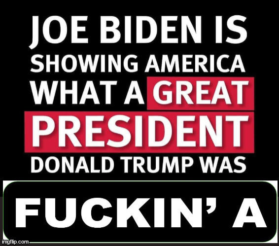 Biden's ONE and ONLY Accomplishment | image tagged in trump,selction,democrat,fake news,lie cheat steal | made w/ Imgflip meme maker