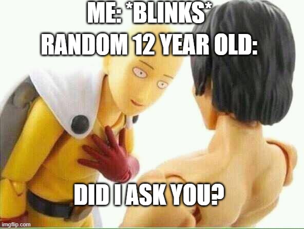 Did I ask you  | ME: *BLINKS*; RANDOM 12 YEAR OLD:; DID I ASK YOU? | image tagged in did i ask you | made w/ Imgflip meme maker