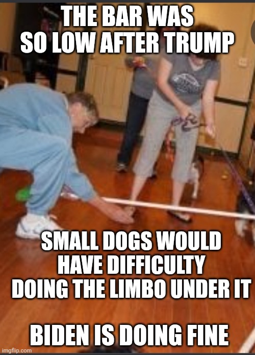 THE BAR WAS SO LOW AFTER TRUMP SMALL DOGS WOULD HAVE DIFFICULTY DOING THE LIMBO UNDER IT BIDEN IS DOING FINE | made w/ Imgflip meme maker